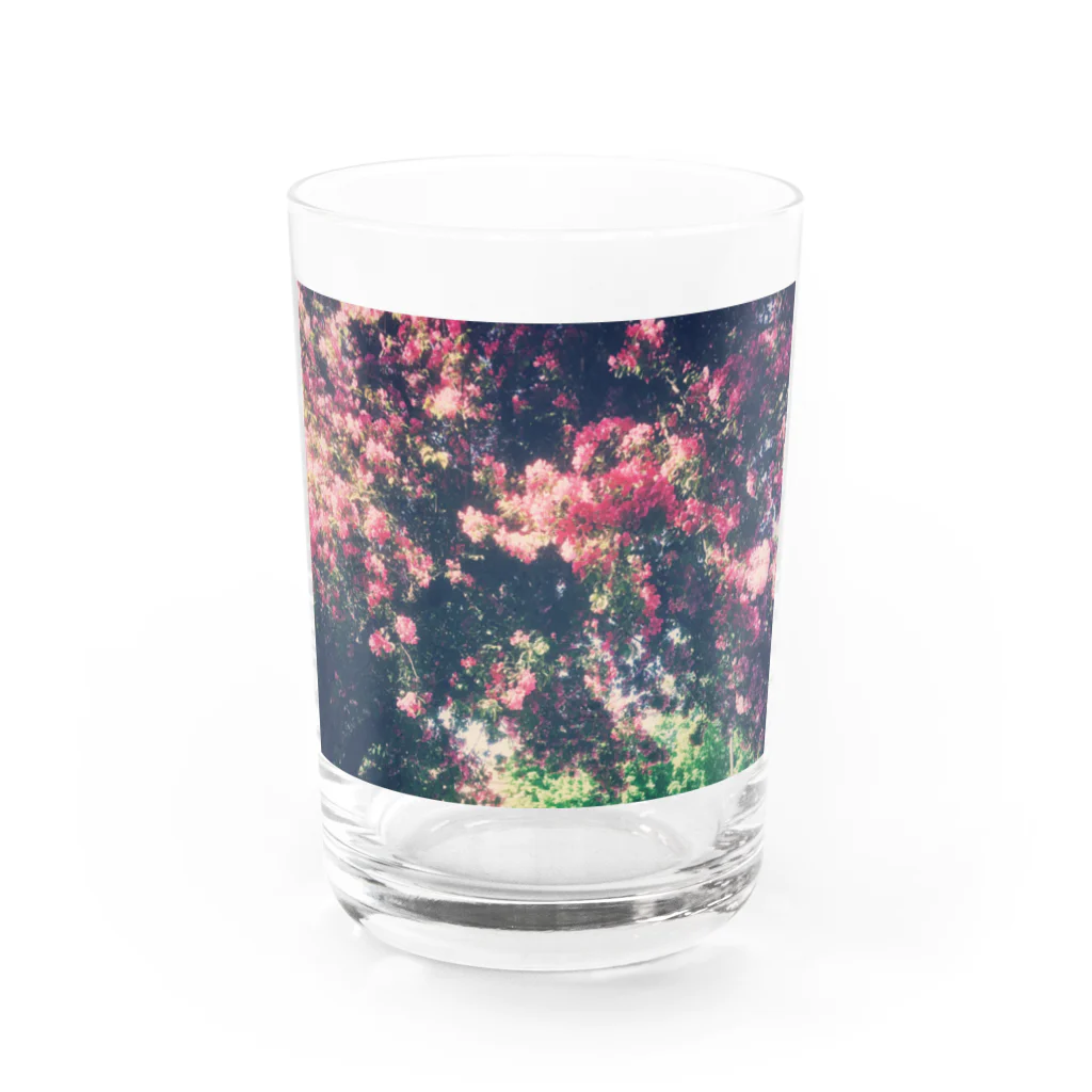 Let's Go for a Walkのromantic flower Water Glass :front