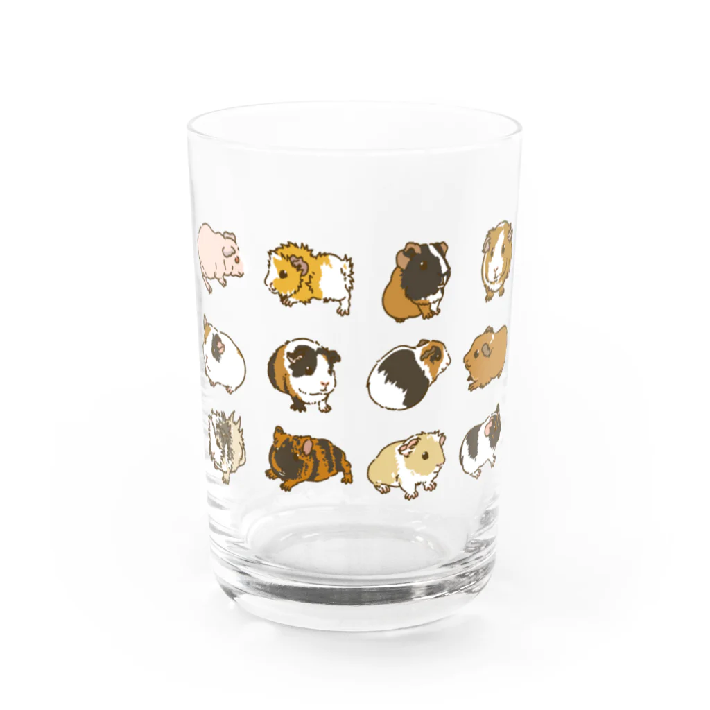 Lichtmuhleの2023モルモットカレンダー大集合01 Water Glass :front