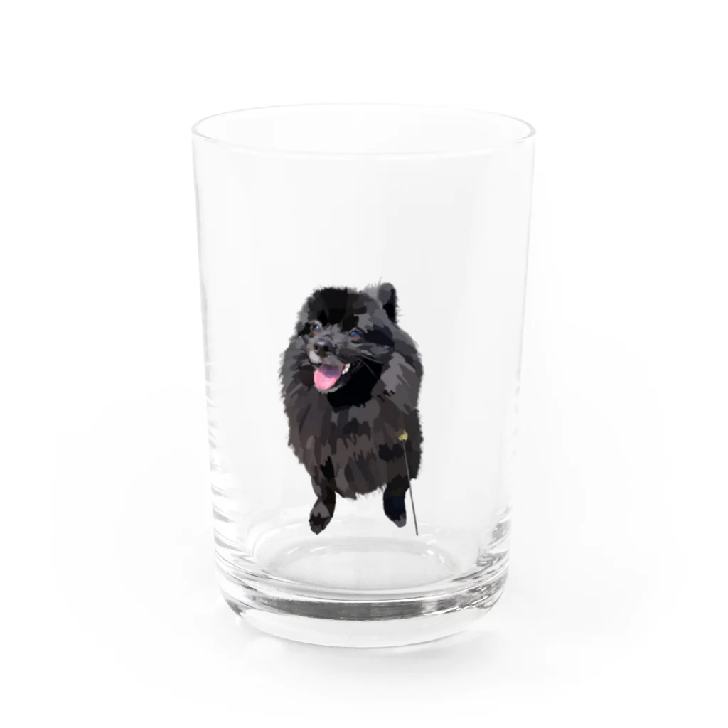 kanakoto24の黒ポメのフクちゃん Water Glass :front