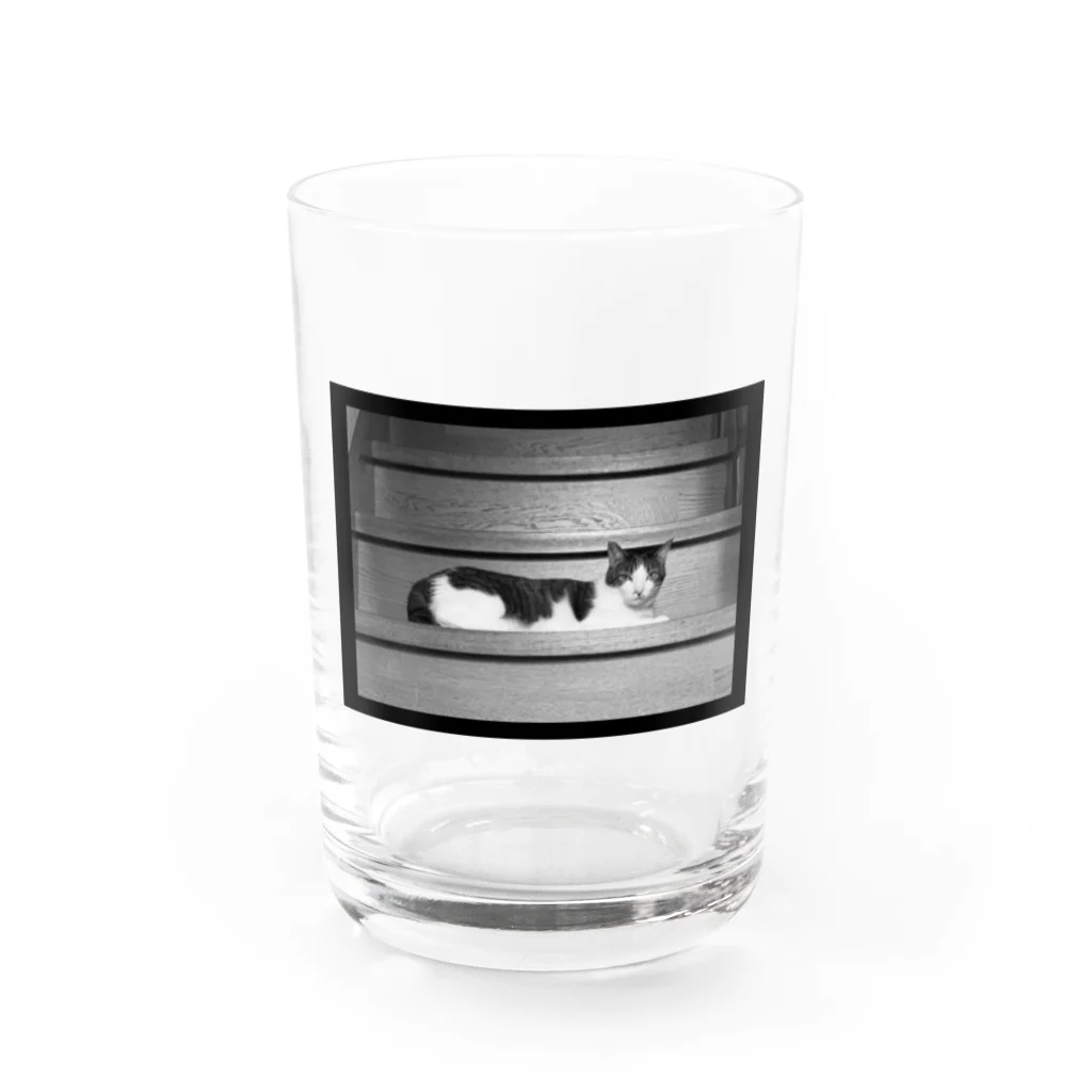 ねこのチャンのチャングラス Water Glass :front