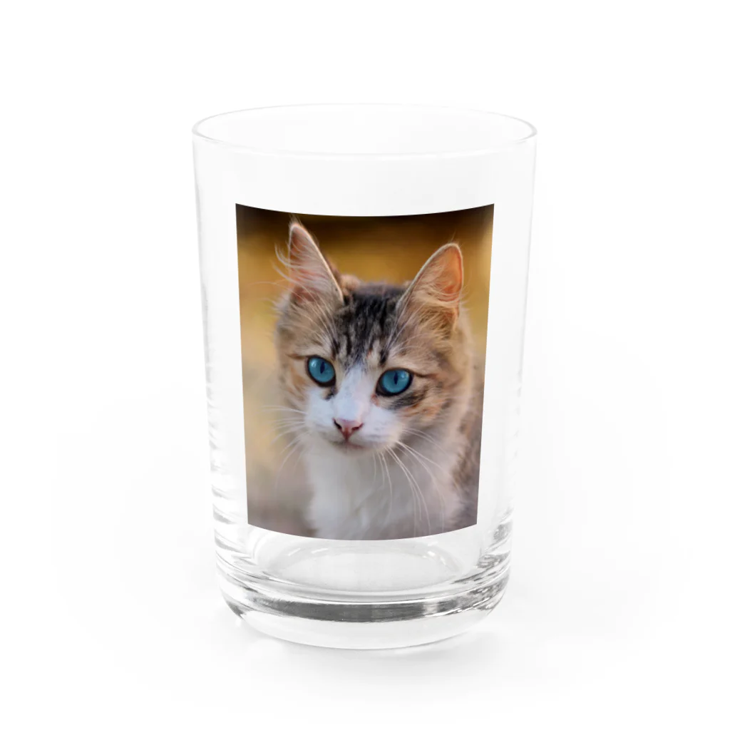 猫アートグッズのAdina Voicu 《Tabby cat with blue eyes》 Water Glass :front