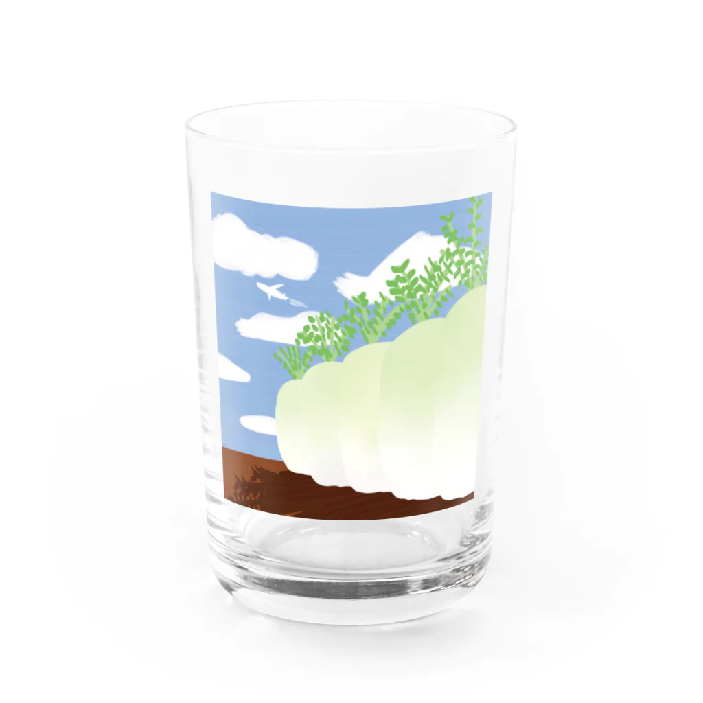 ネコモトタロウショップの畑の大根 Water Glass :front