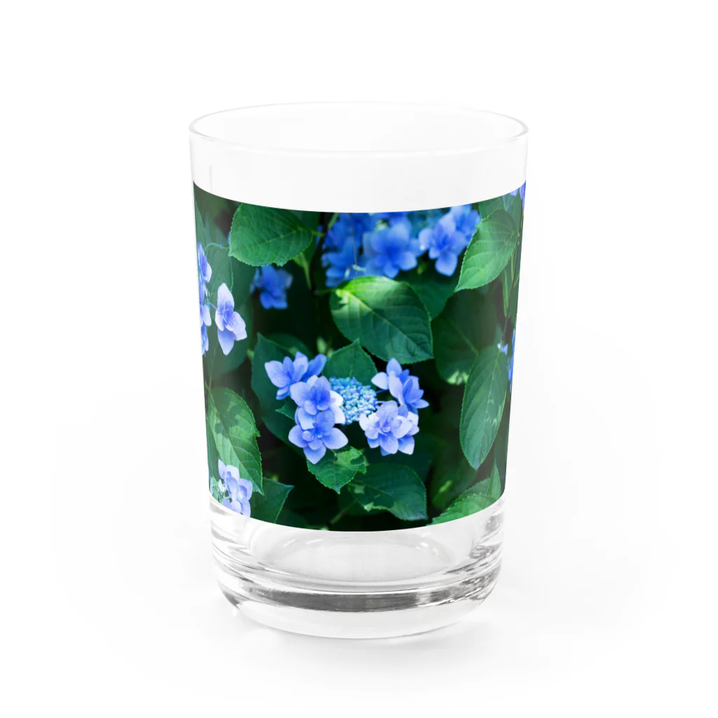 akane_art（茜音工房）の癒しの風景（アジサイ） Water Glass :front