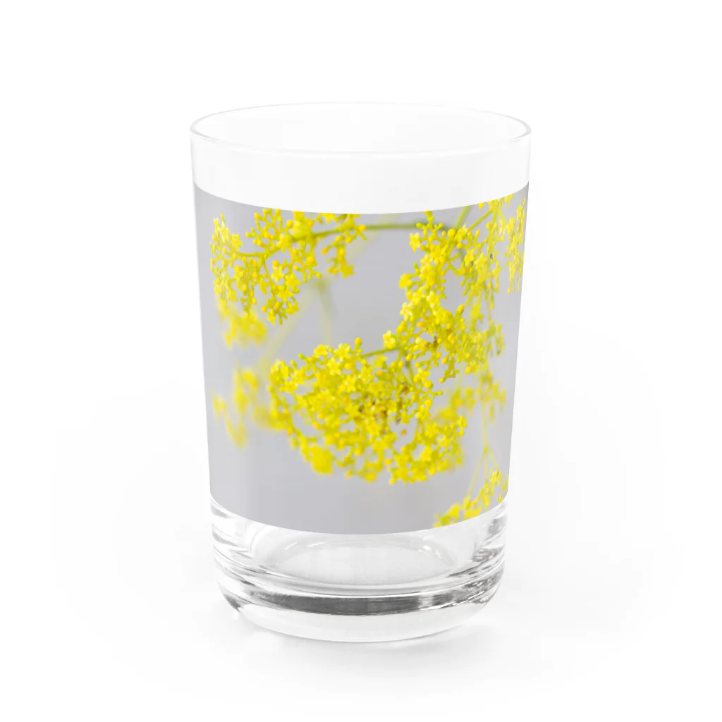 akane_art（茜音工房）の癒しの風景（オミナエシ） Water Glass :front