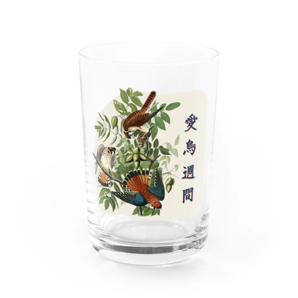 アニマル四字熟語の「愛鳥週間」　オーデュボンの鳥 Water Glass :front