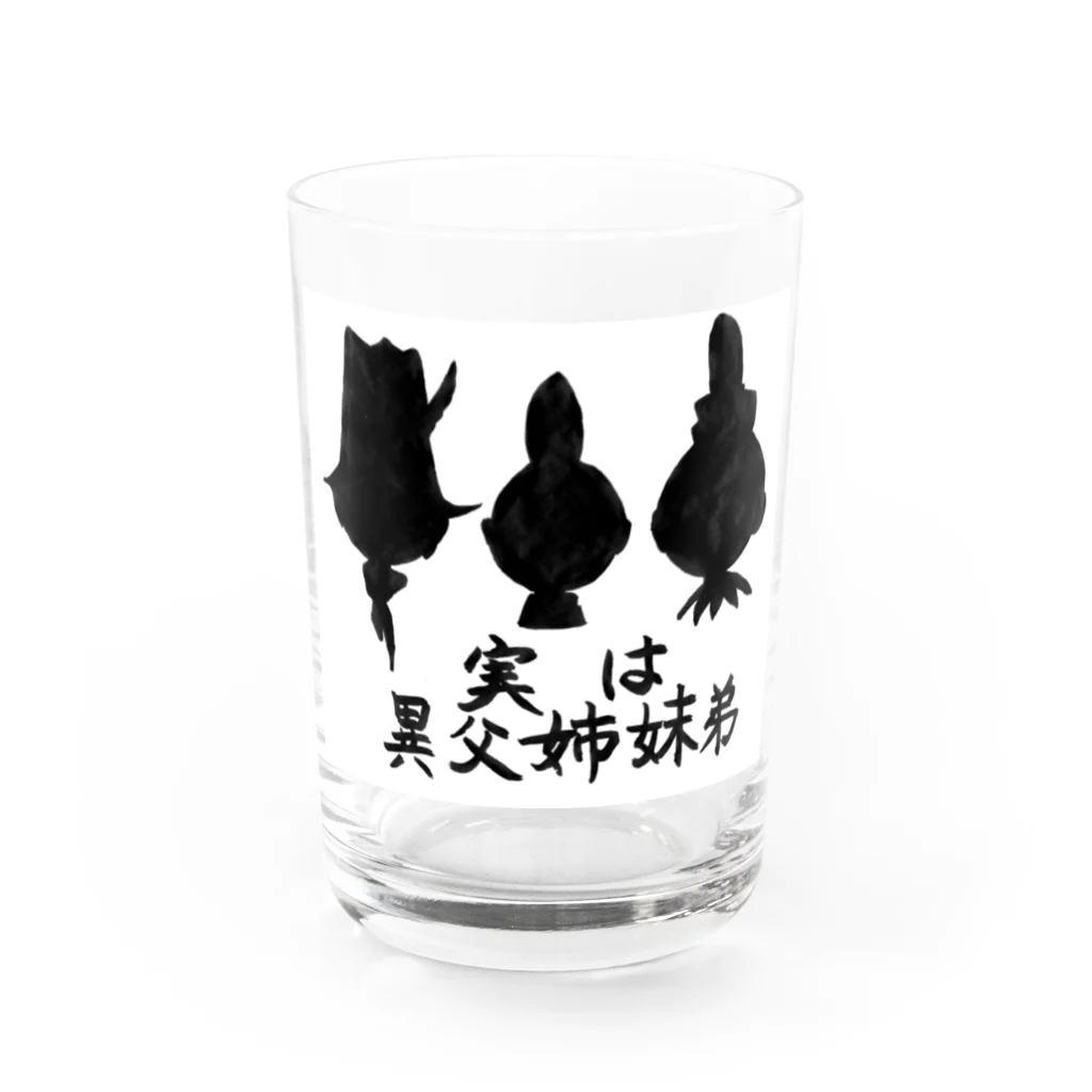 豊風本舗の実は異父姉妹弟 Water Glass :front