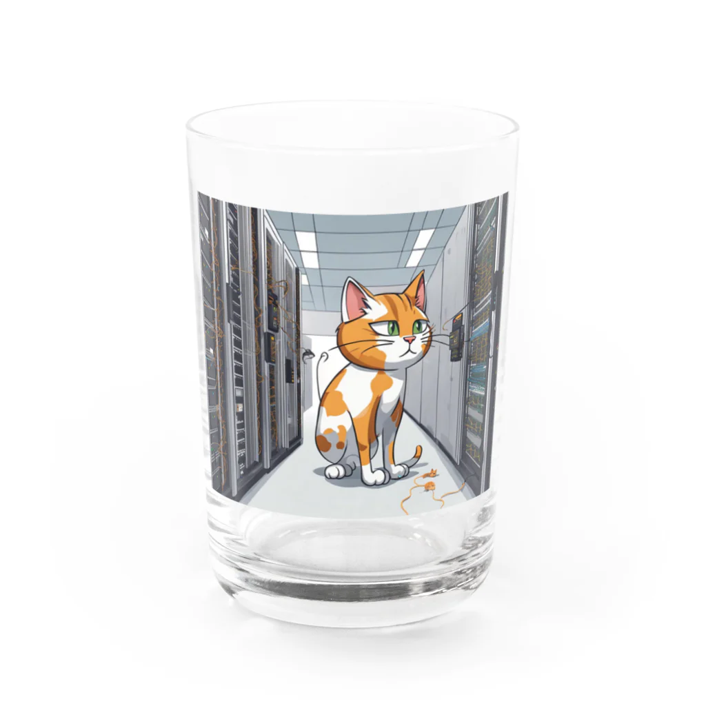 土曜日のにゃんぱねらのデータセンターの猫 Water Glass :front