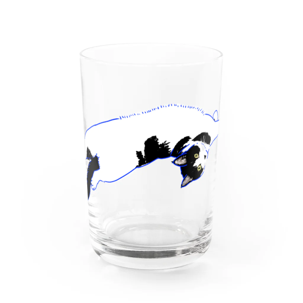 きゅう。ののびのびはちわれキャット Water Glass :front