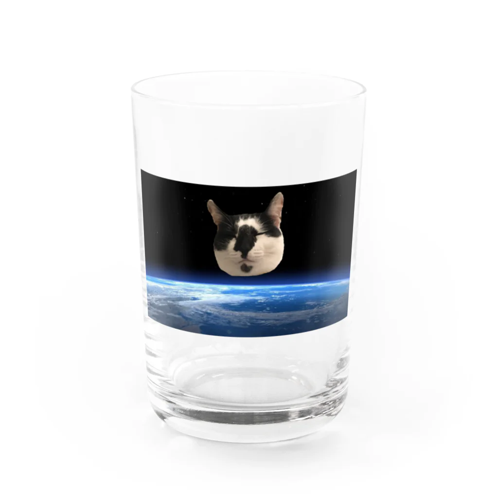 百鬼夜行の衛星猫 Water Glass :front