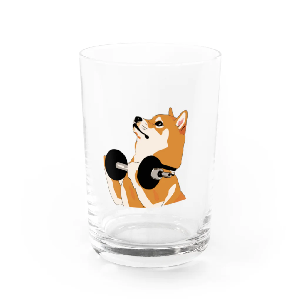 パンプアップ柴Hachiのパンプアップ柴Hachi Water Glass :front