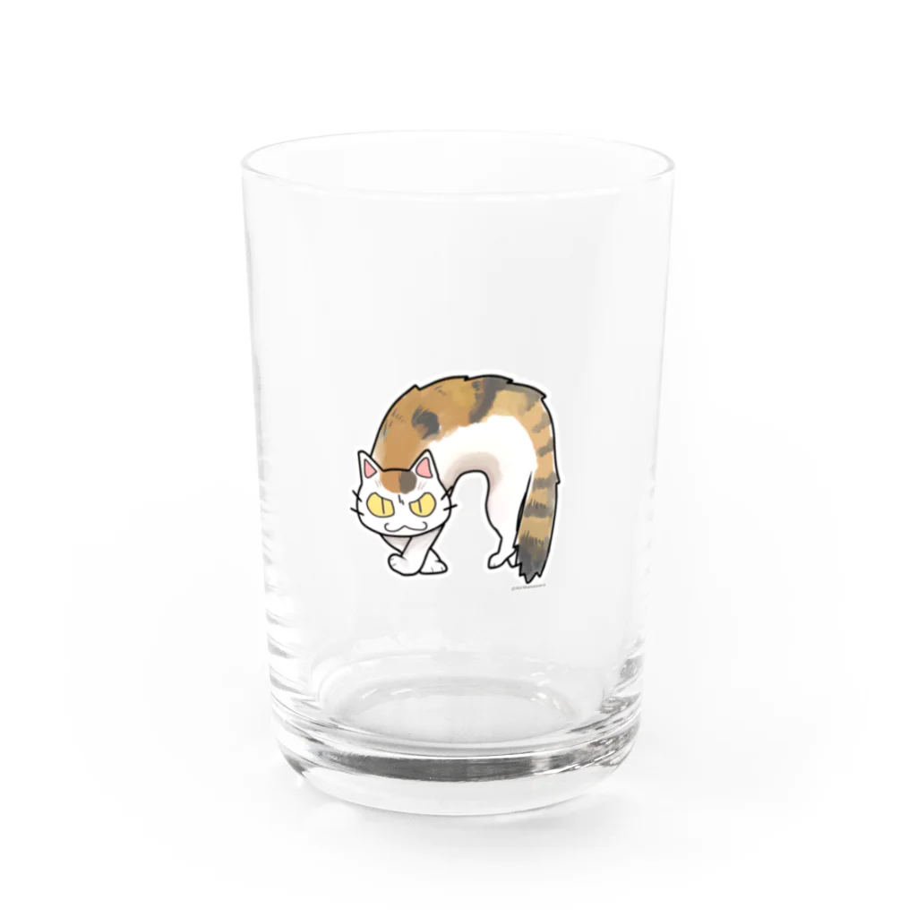 はねぞらあいりのふしゃ猫ミケシリーズ Water Glass :front