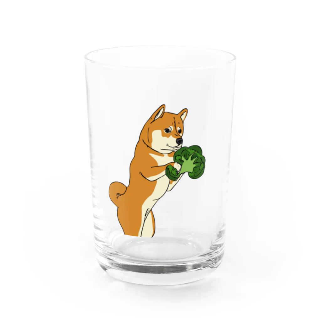 パンプアップ柴Hachiのパンプアップ柴Hachi（ブロッコリーver） Water Glass :front