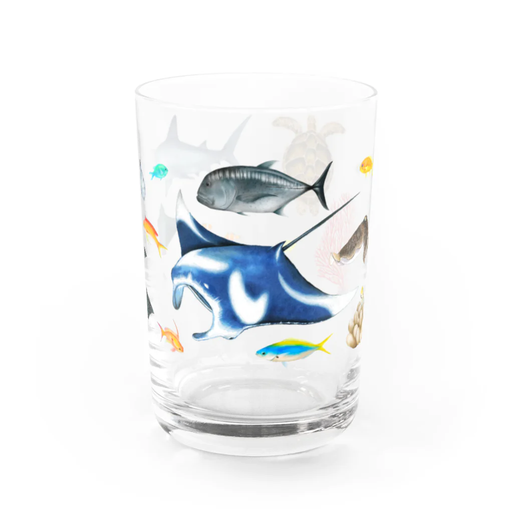 uminomadoの八重山の海の中 Water Glass :front