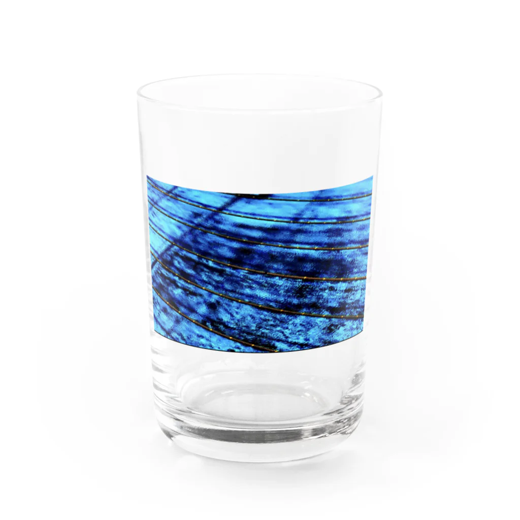 セーヤ様の透明な世界 Water Glass :front