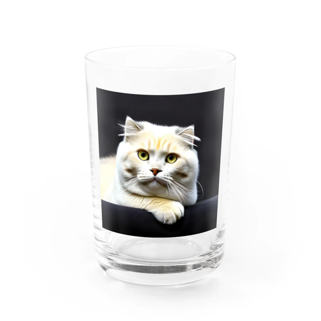 Animal-goodsのかわいい猫ちゃんの写真 Water Glass :front