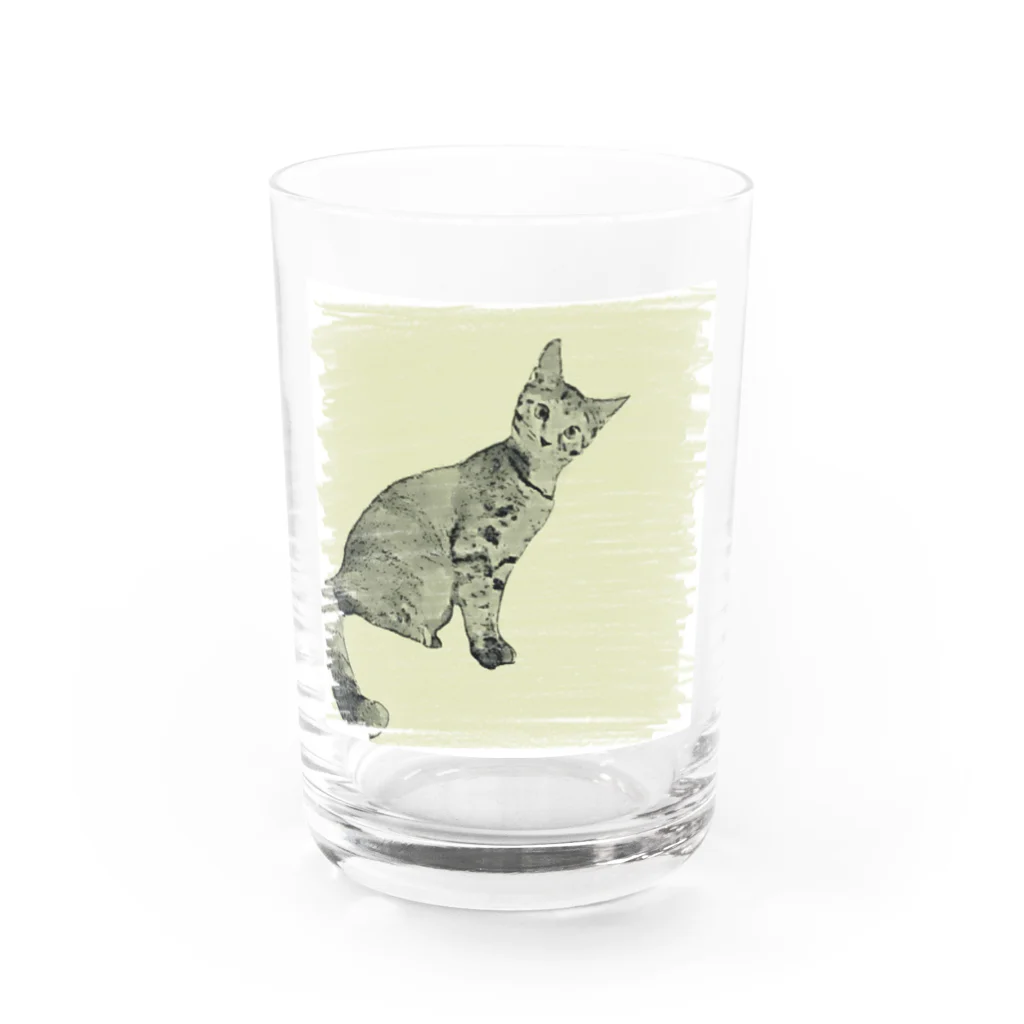 コハクのカーテンレールから見下ろすコハク Water Glass :front