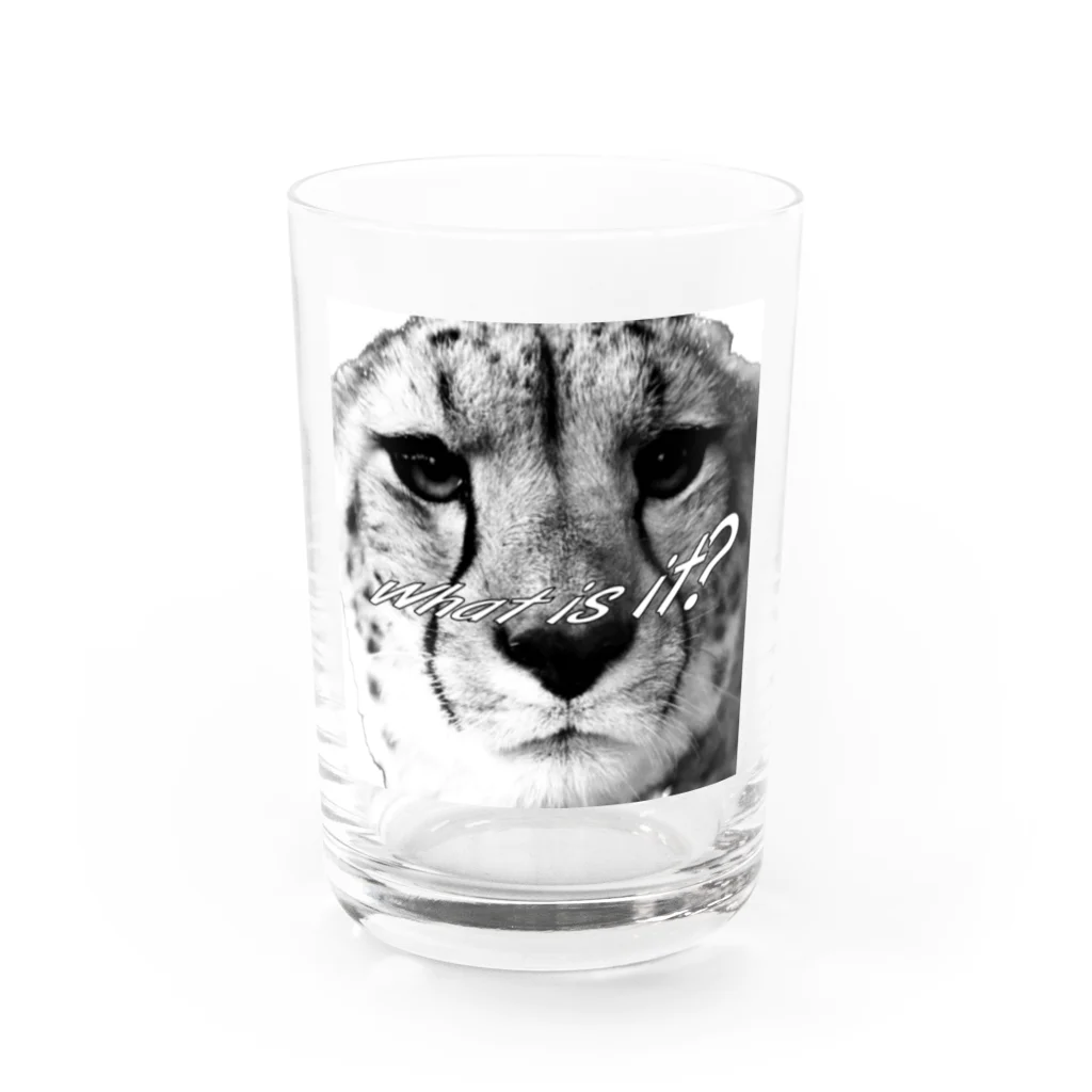 Kego_Storeのチーターさん Water Glass :front
