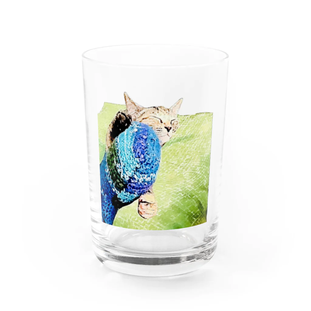 コハクの猫のコハクと編みぐるみ Water Glass :front