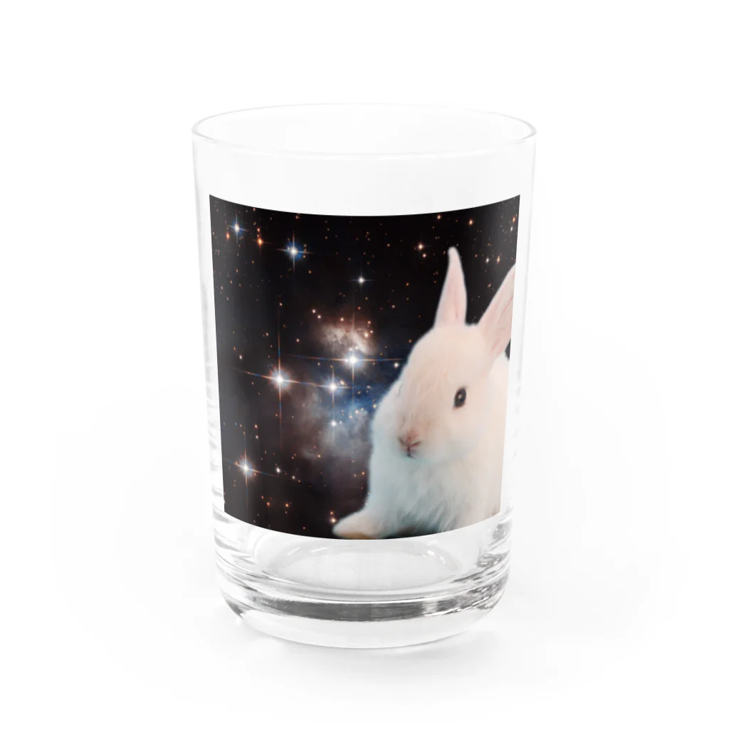 宇宙動物園の宇宙白うさぎ Water Glass :front