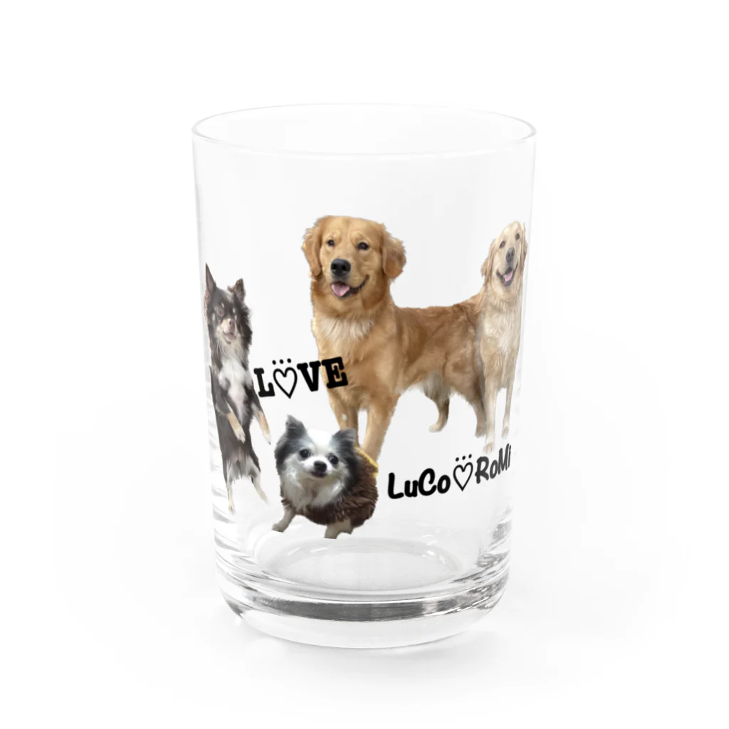 LuCo♡⃛RoMi〖ルコロミ〗のわんちゃん”s Water Glass :front