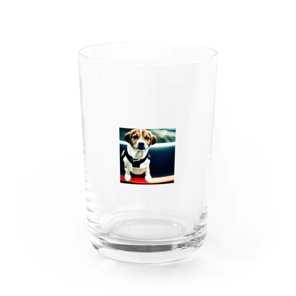 toukainogennのボードに乗る犬 Water Glass :front