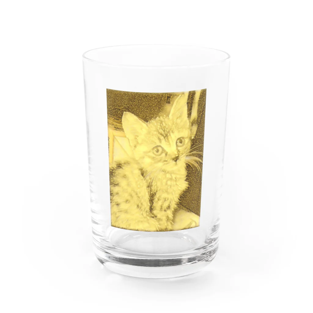 金色猫のキラキラネコ グラス前面