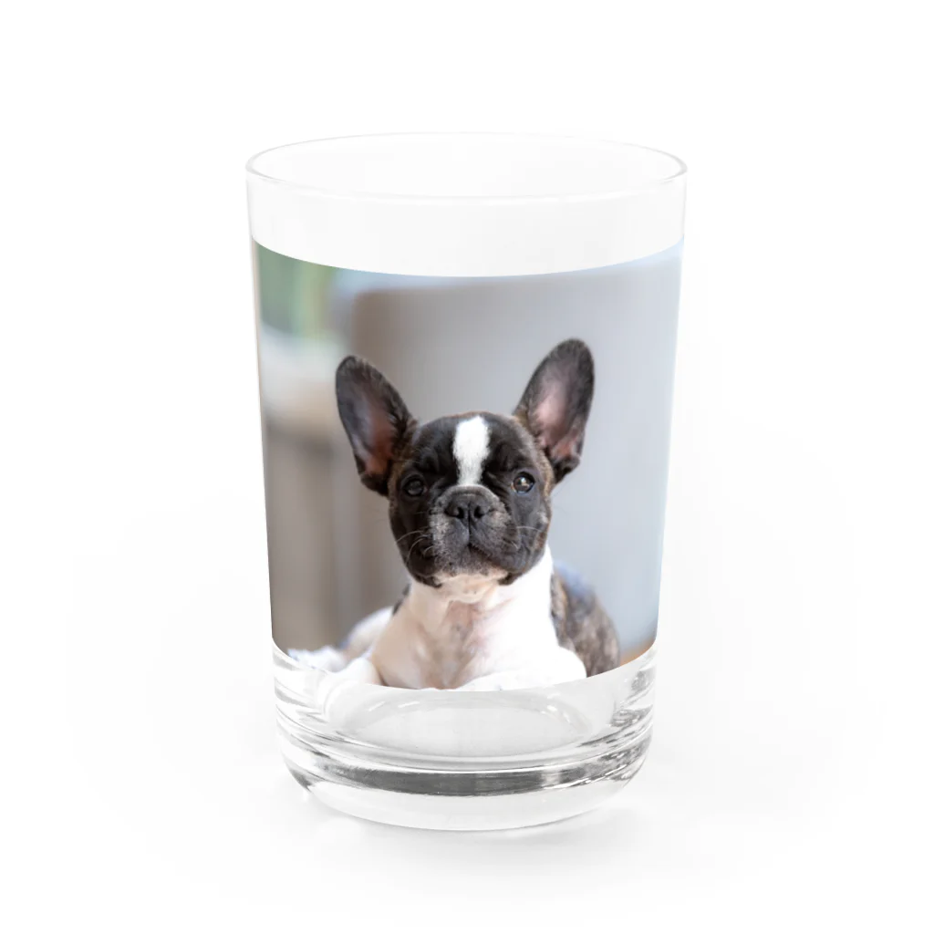 okamemaruの癒し系いぬ Water Glass :front