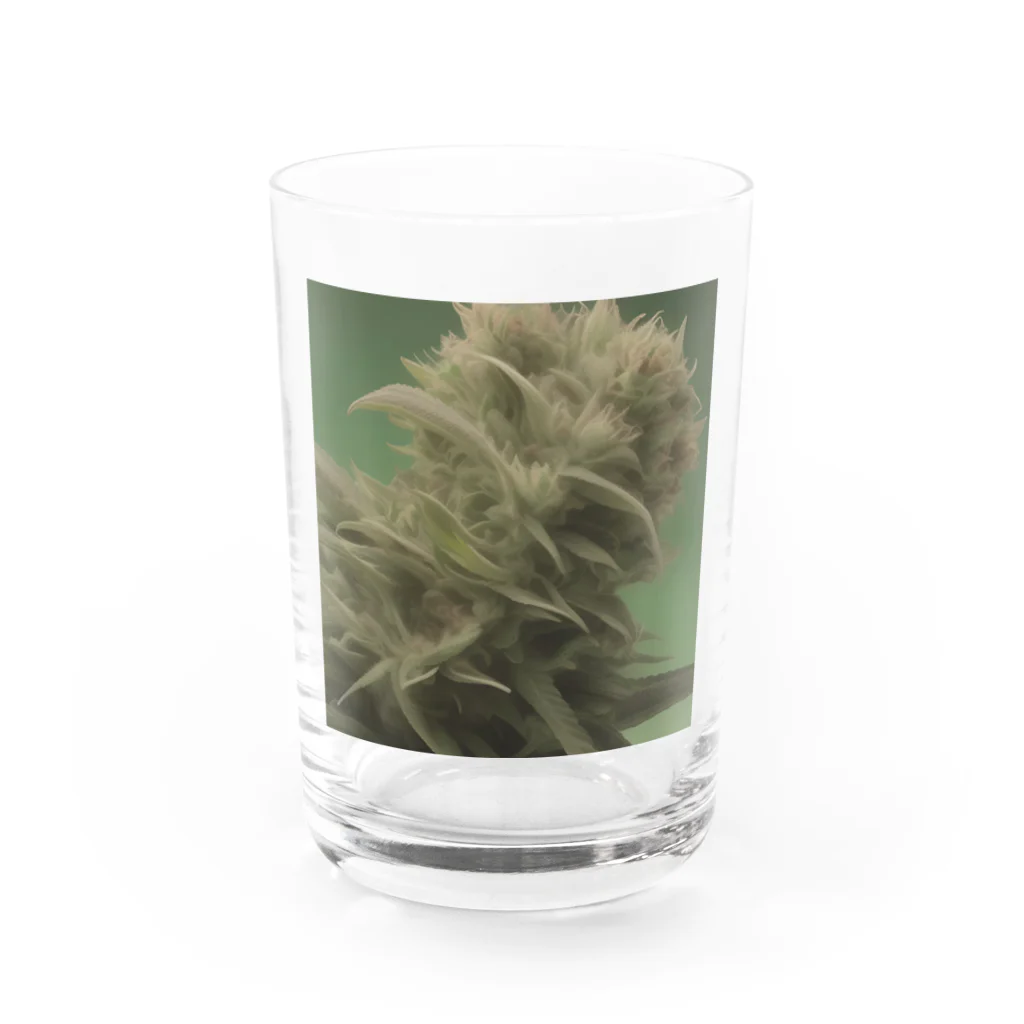 ハイライフコレクションズの42O-0091 フォトゥオーナインティワン Water Glass :front