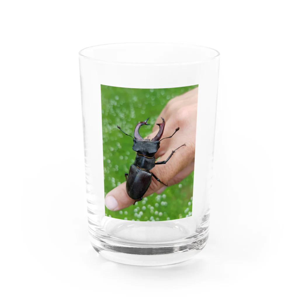 okaken2のくわちゃん Water Glass :front