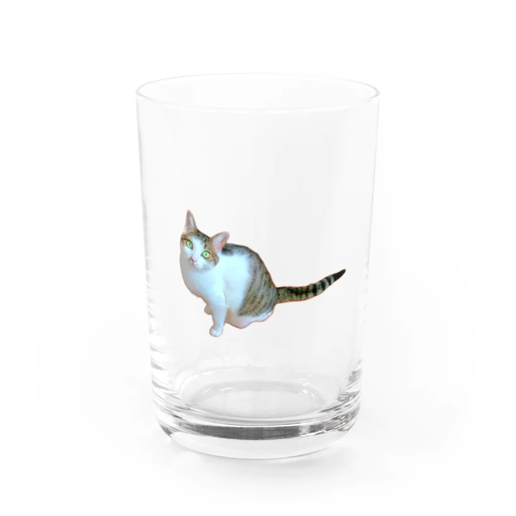 桃くるみSHOPのおかえりにゃん Water Glass :front