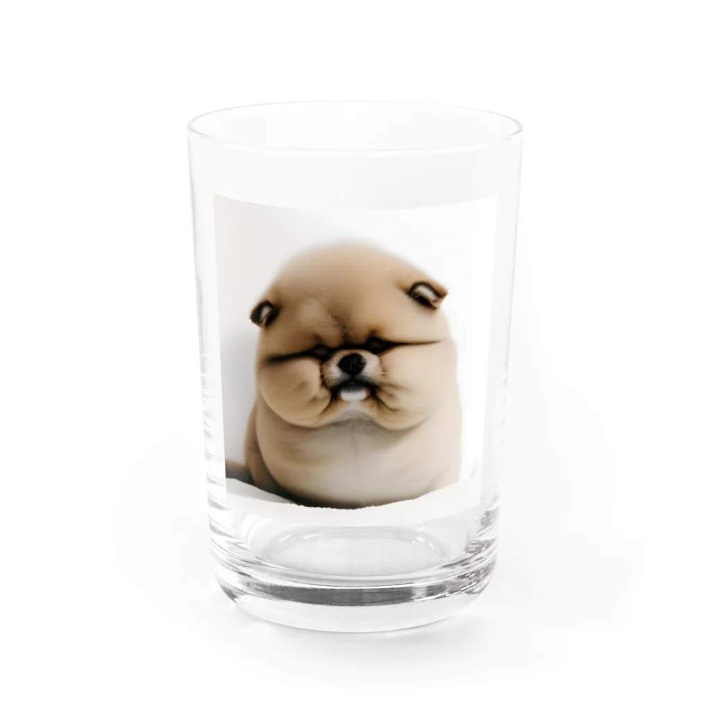 KYOのぶさかわ Water Glass :front