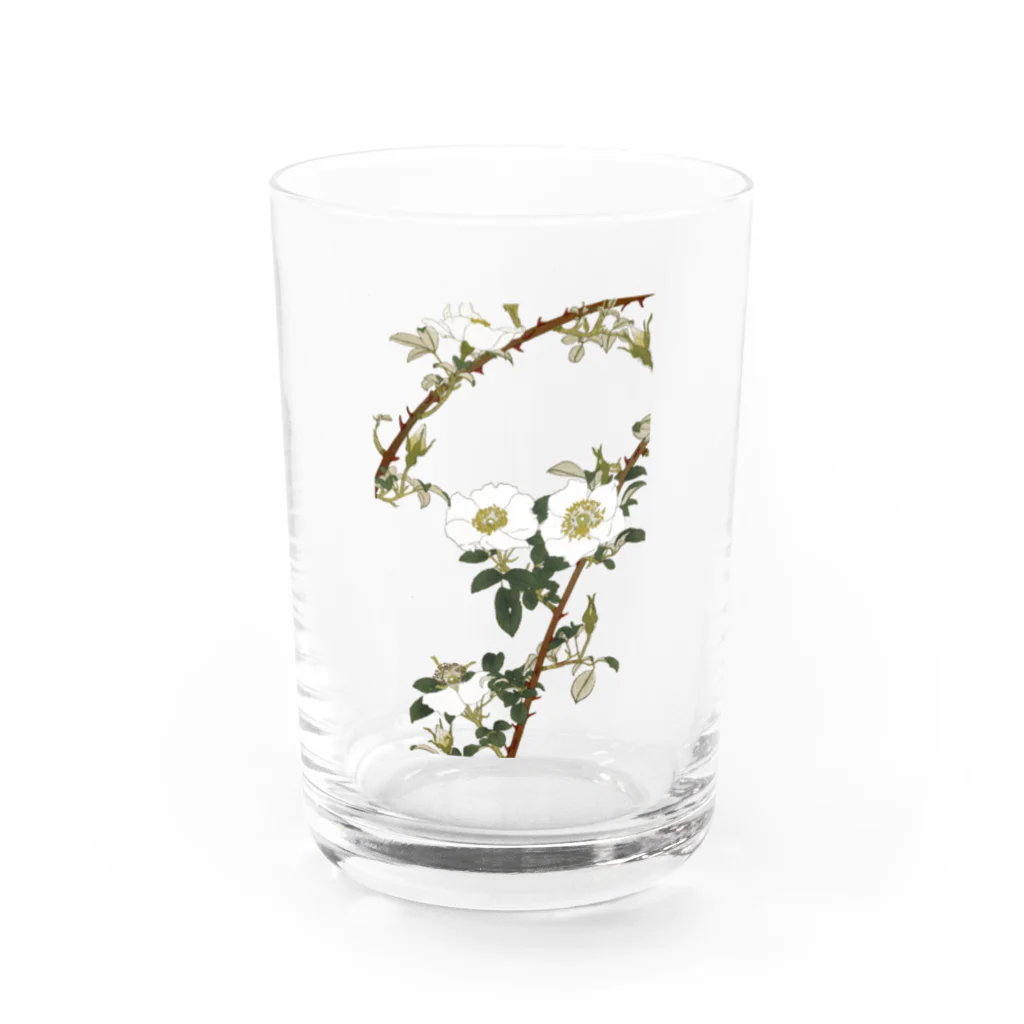 sachiko_goodsのなにはいばら Water Glass :front