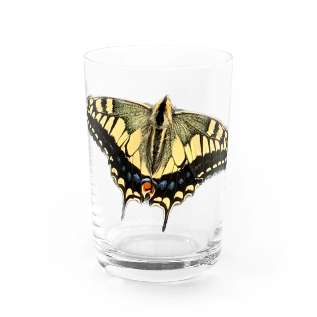 ミナらショップのキアゲハ Water Glass :front