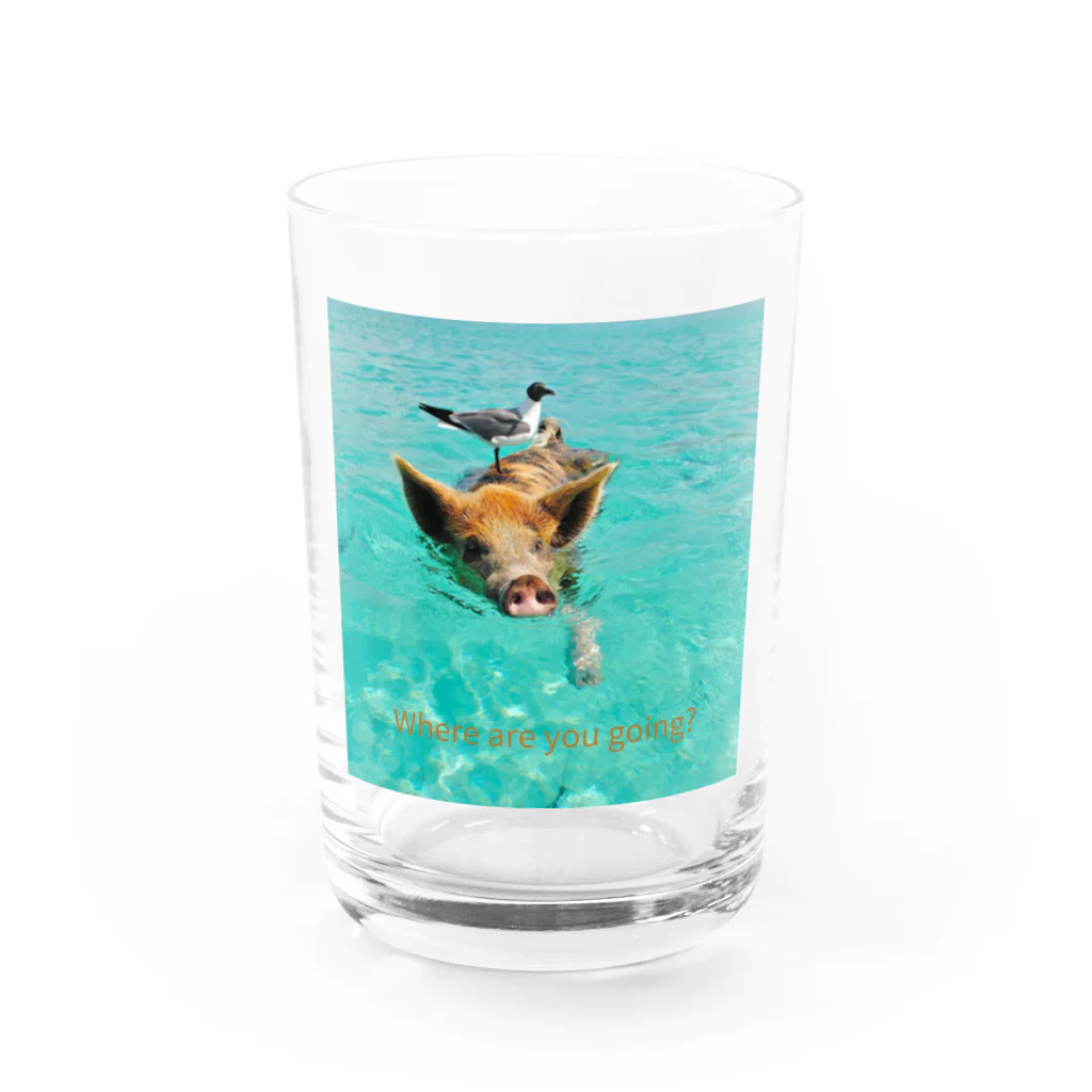 MOMOTAKAショップの海のかけら - ピグとバード Water Glass :front