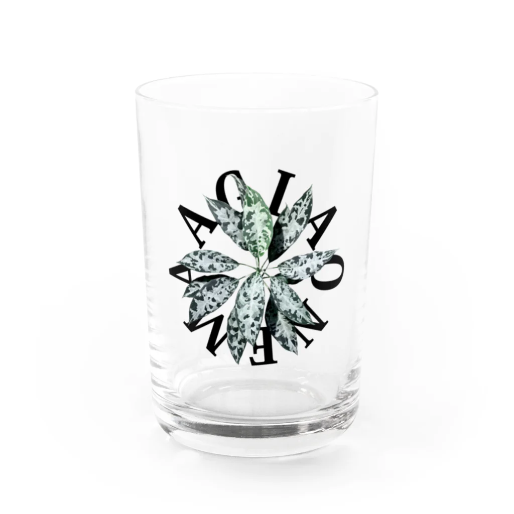 熱帯デザイン.com@SUZURIの【サークルロゴ】AGLAONEMA PICTUM（アグラオネマピクタム）BLACK Water Glass :front