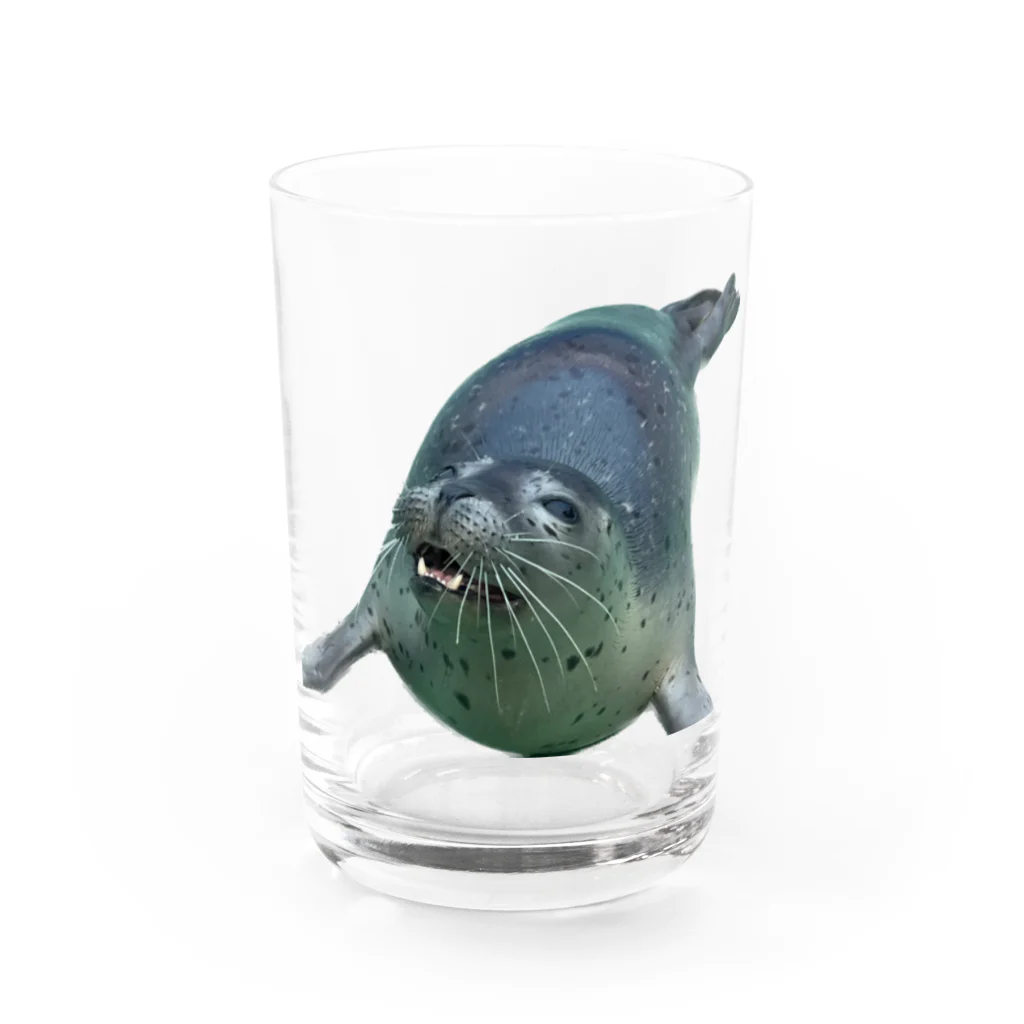 tmy_fの水族館の生き物（愛しのゴマちゃん） Water Glass :front