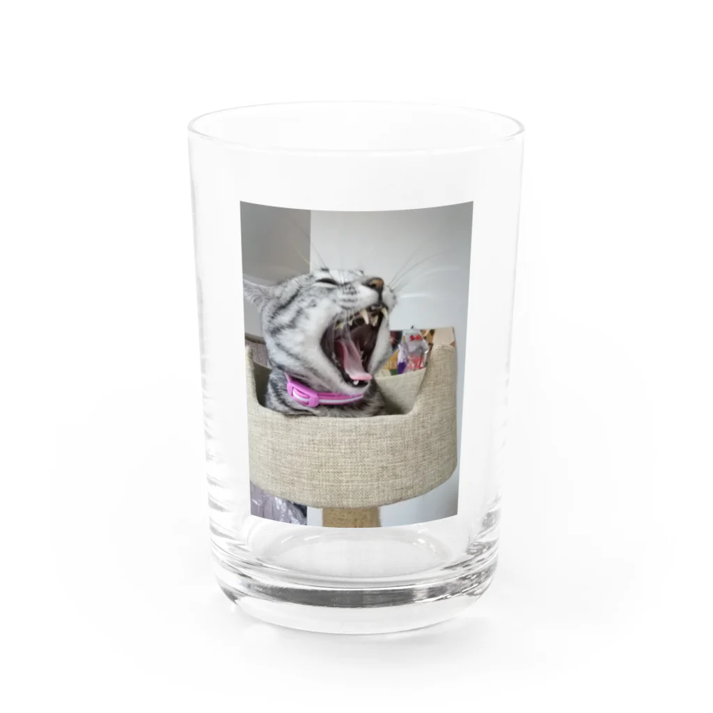 Grayの大怪獣 Water Glass :front