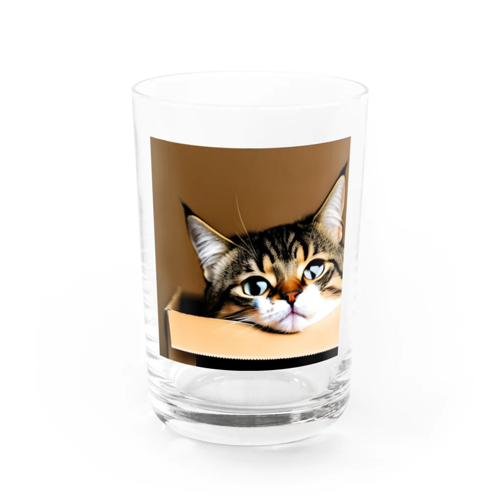 チェリオの箱に入った可愛い猫 Water Glass :front