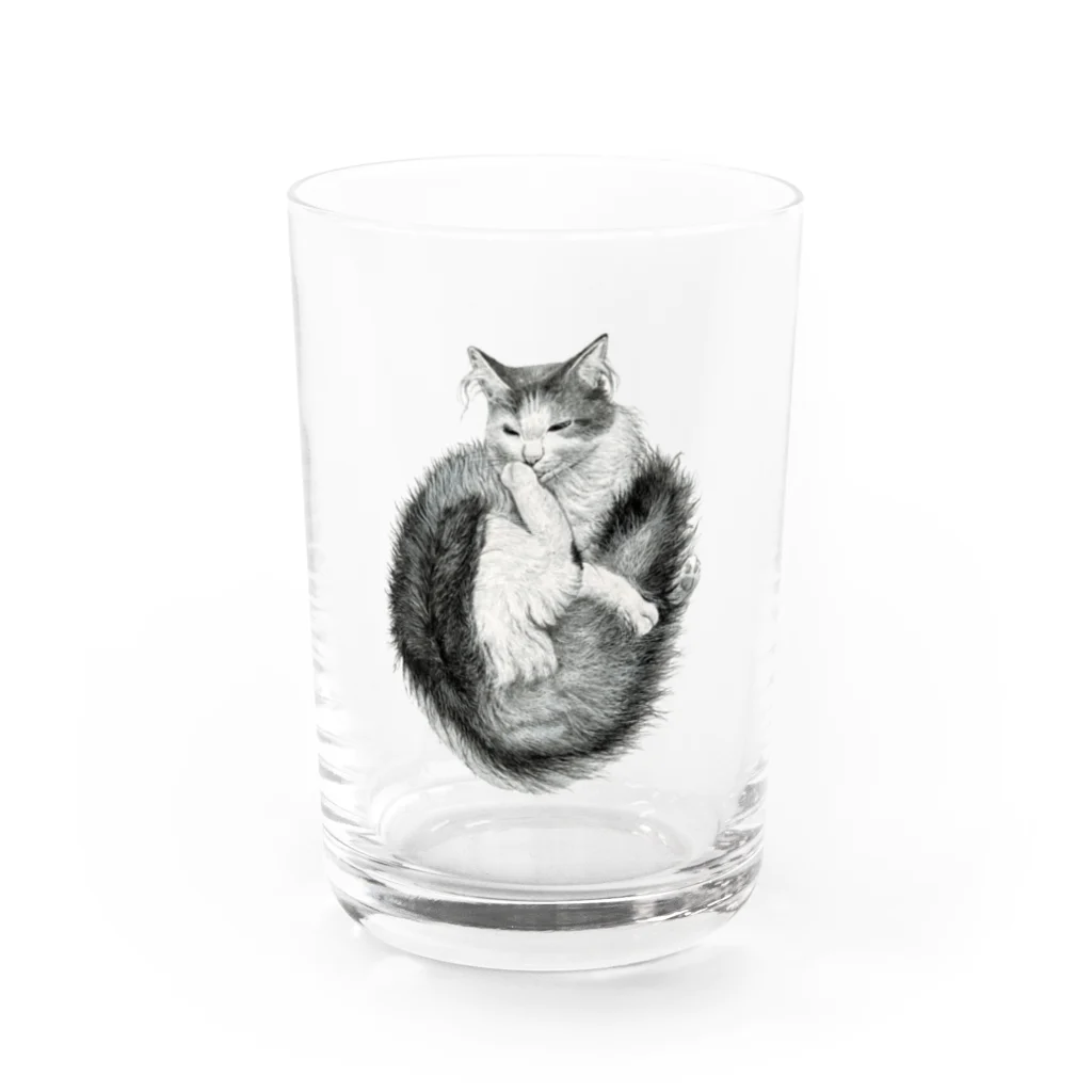 もっち（mocchi）の毛づくろいニャンコ(モノクロ) Water Glass :front