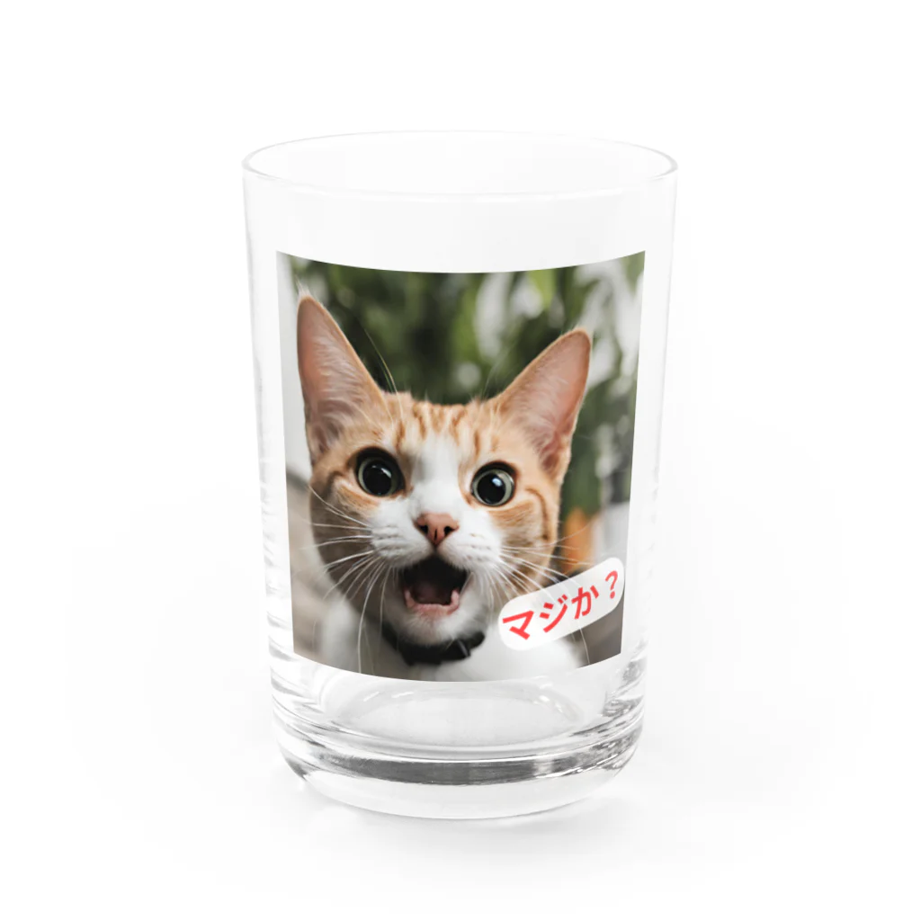 e-necoshopの驚愕する猫さん！ Water Glass :front