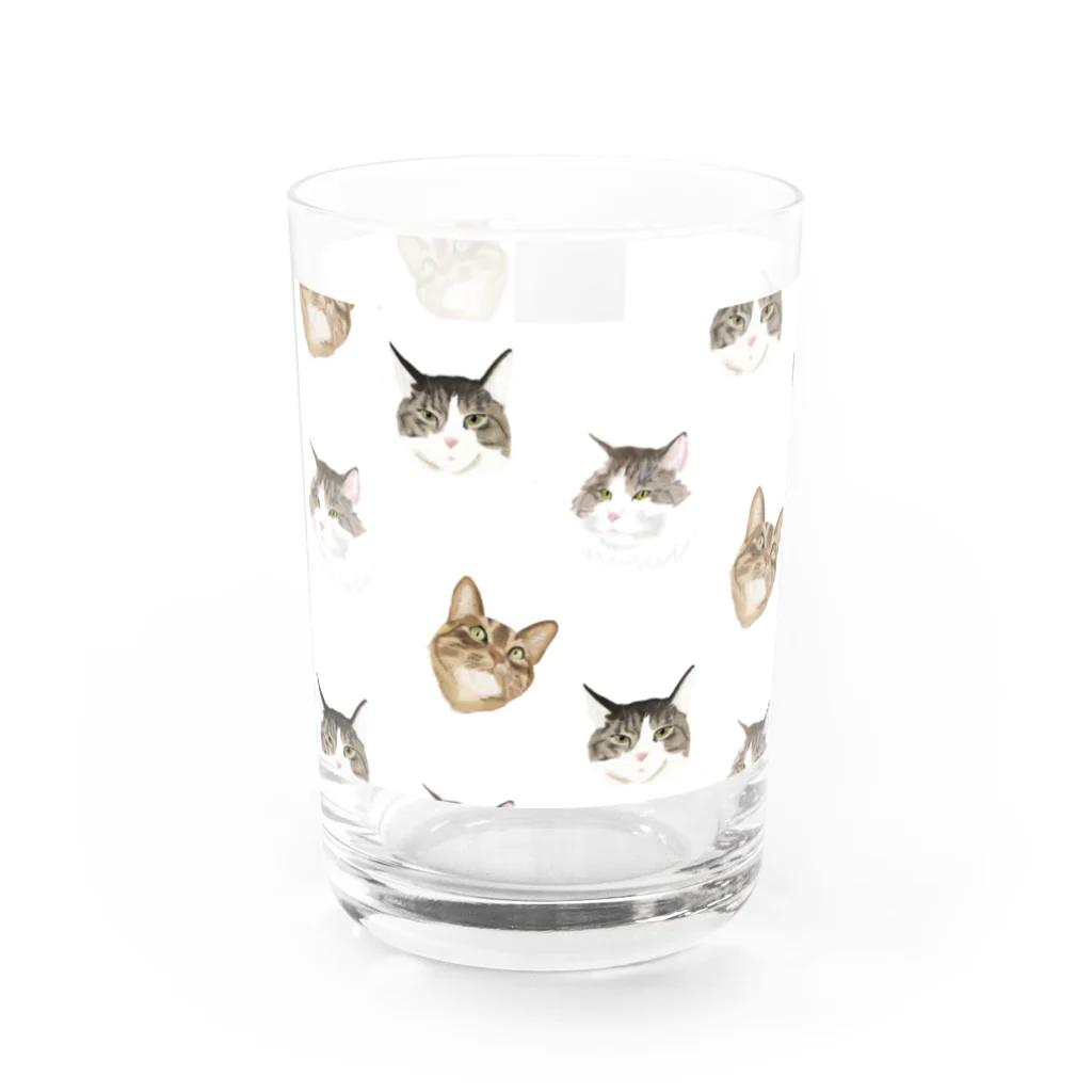 リリー・ティナのニャンズ　パターン Water Glass :front