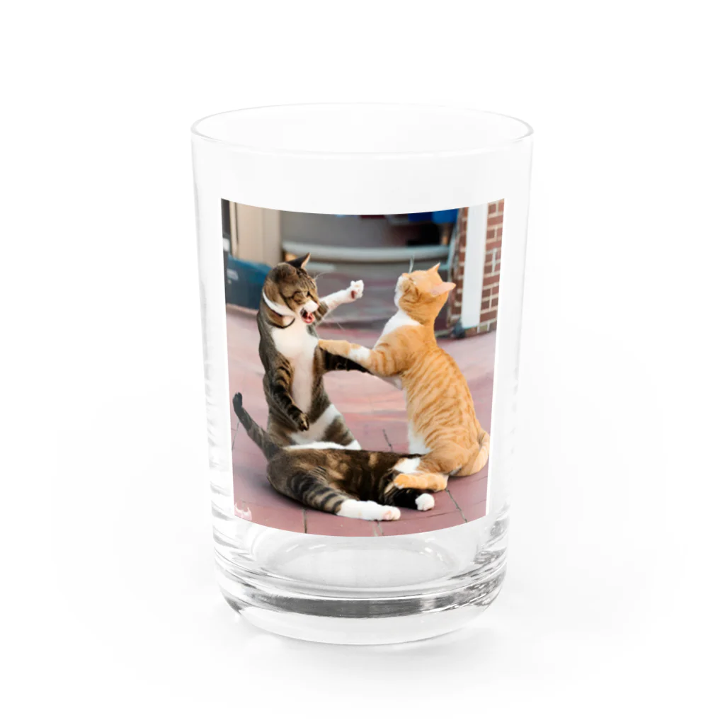 ume's shopの猫の喧嘩 Water Glass :front