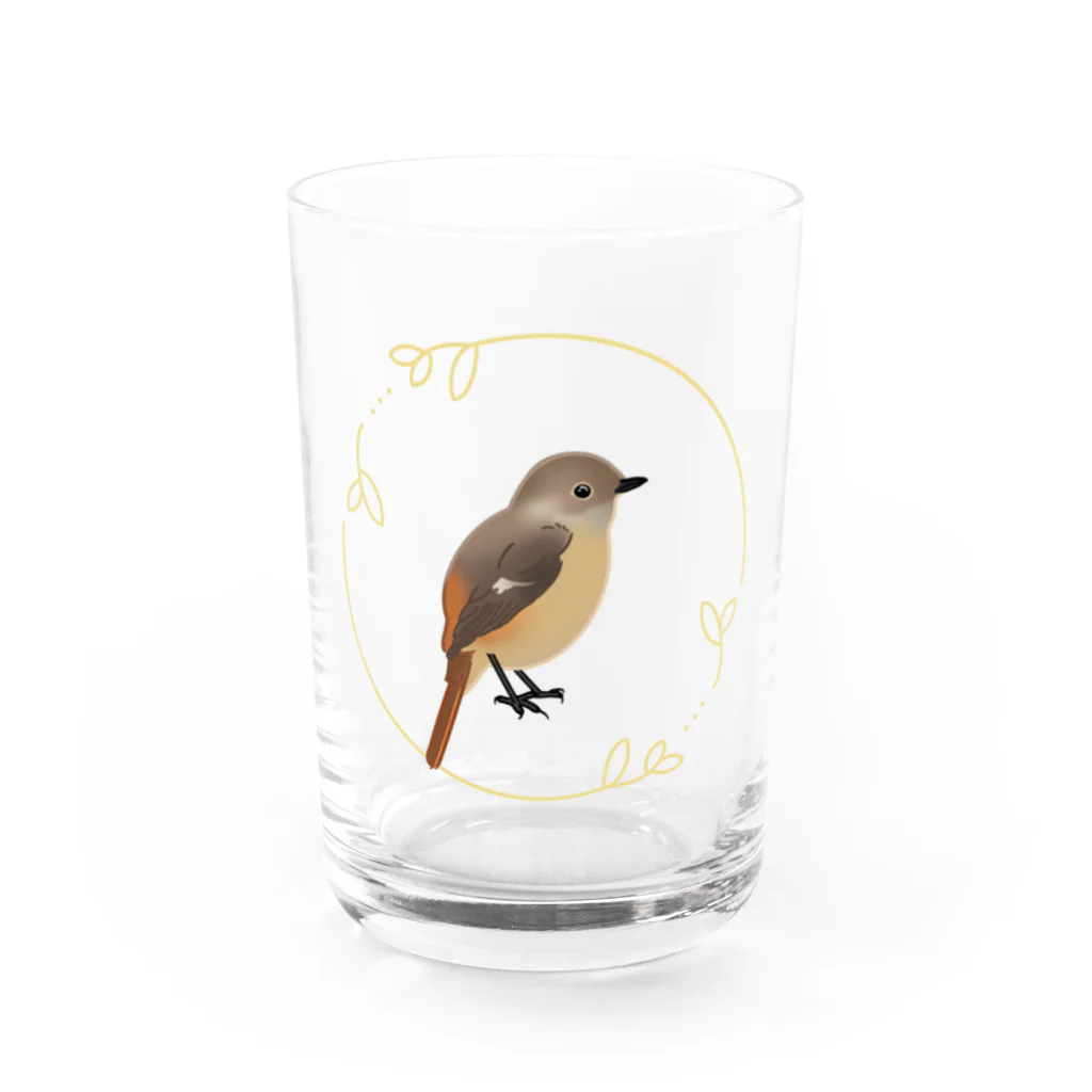 やちよ｜リアル鳥イラストのジョウビタキさん♀ グラス前面
