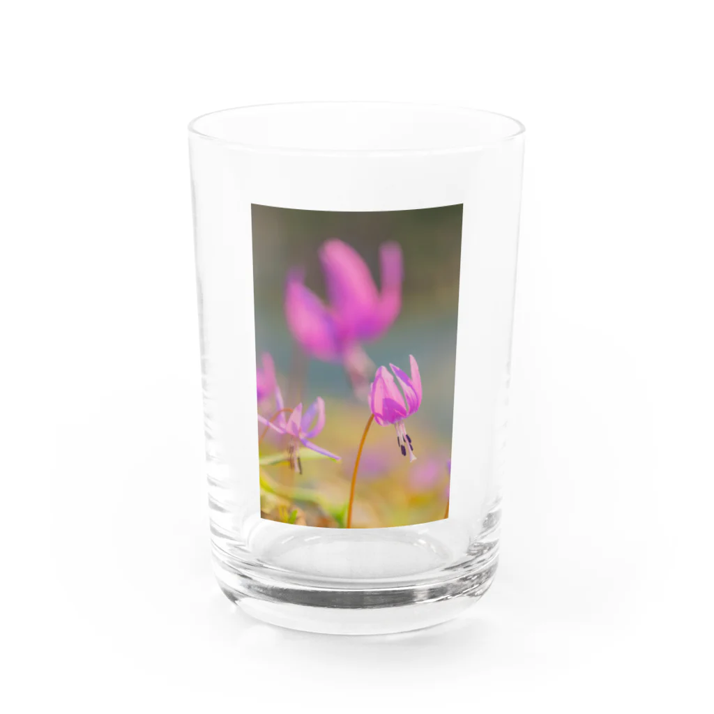 guchy-kのカタクリ可憐 Water Glass :front