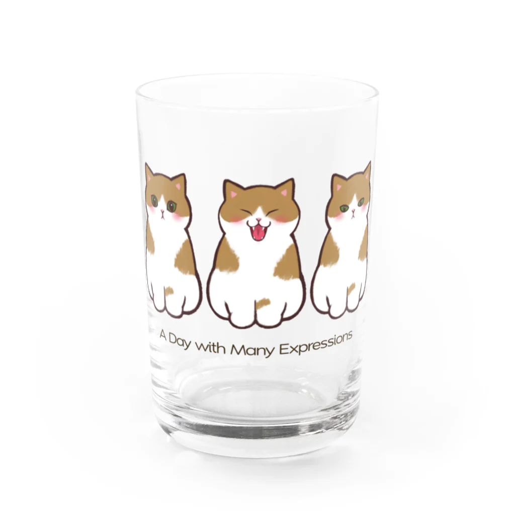 ふわにゃんshopのねこの一日 Water Glass :front