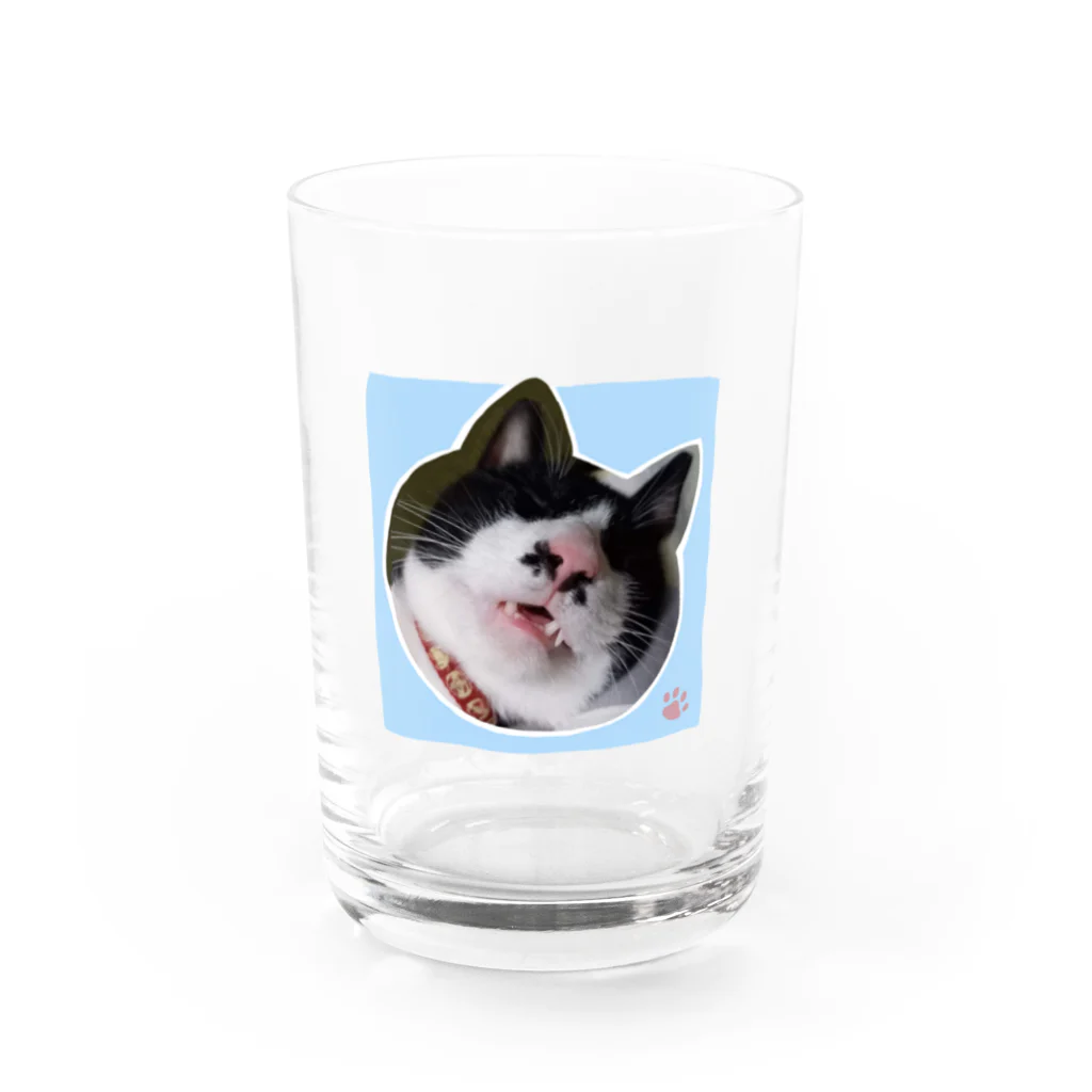 木ノ下商店の眠りこけた猫。2 Water Glass :front