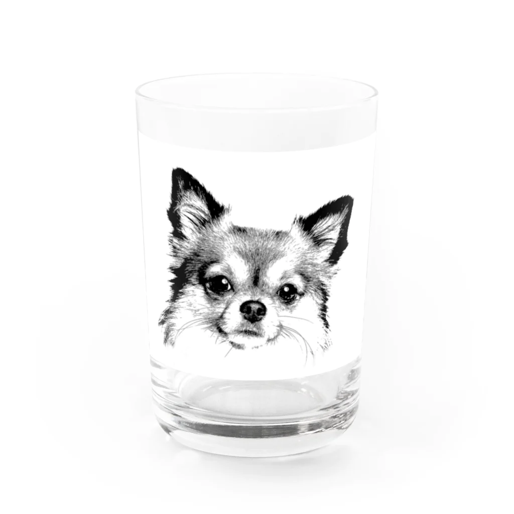 takepanのチワワシリーズ Water Glass :front