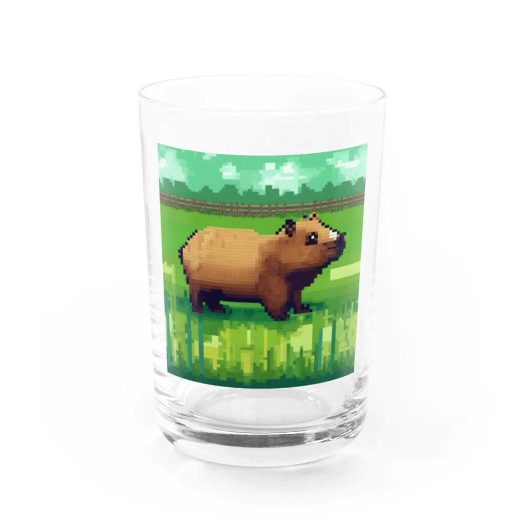 川島商店のカピバラ（草原） Water Glass :front