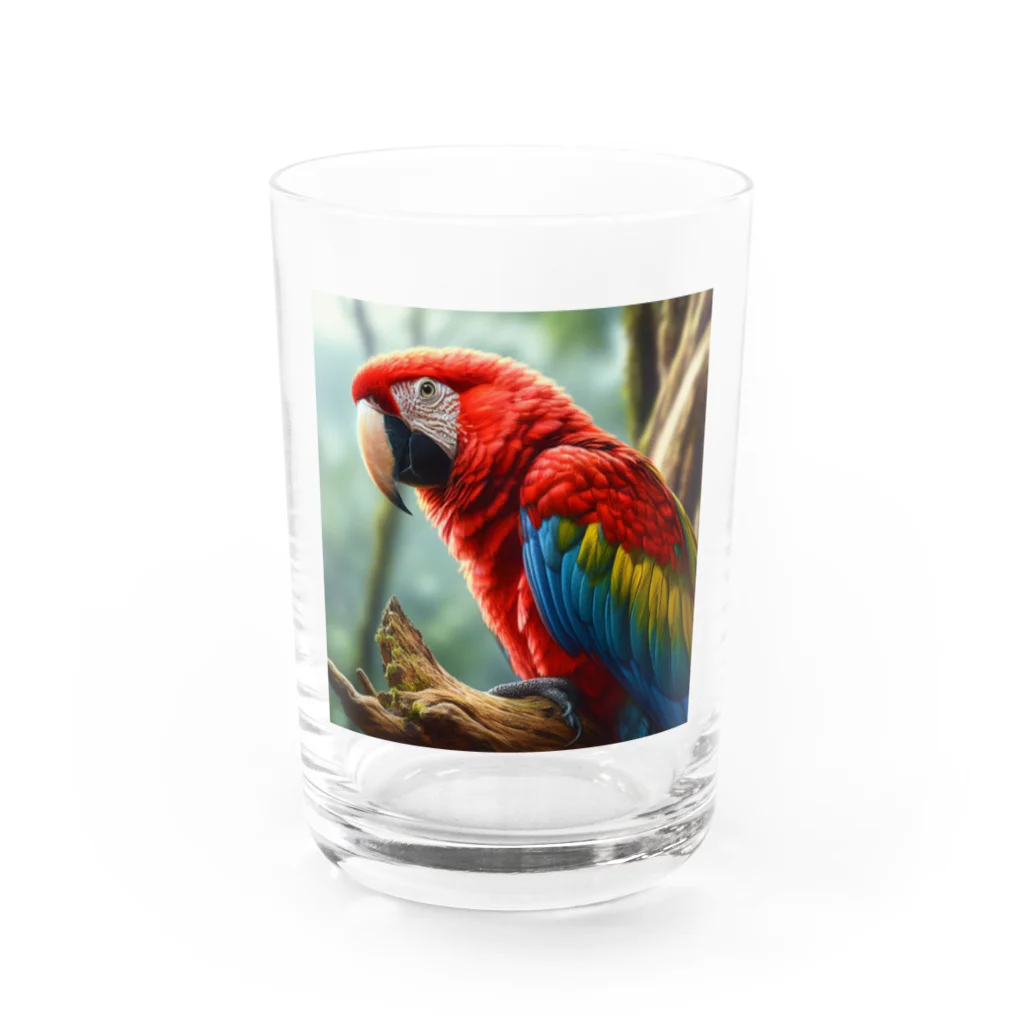 SAKIのコンゴウインコ Water Glass :front