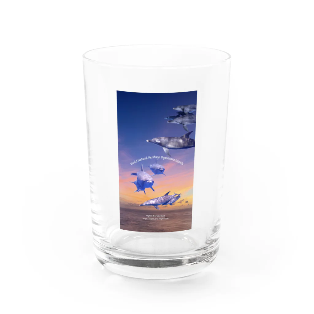 ミルフィンアイランドガイドのサンセット ドルフィンズ Water Glass :front